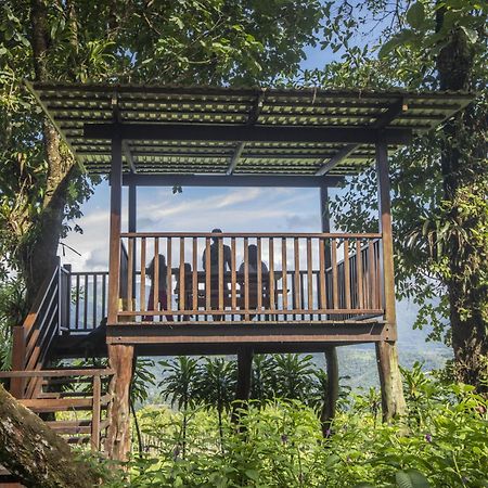 "Hana'S Celeste Retreat" Large Modern Villa Sleeps 6 On 20 Acres Of Nature! Бихагуа Экстерьер фото